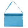  Cooler bag
