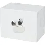 Braavos Mini TWS earbuds
