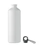MOSS LARGE aluminijska boca 1L