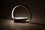 Labrum multifunctional desk lamp