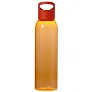  Sports bottle 650 ml