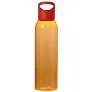  Sports bottle 650 ml