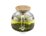 BOLLITO stakleni čajnik, 1100ml