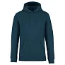SURFER unisex hoodie, 350 g/m2 - Native Spirit