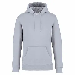unisex hoodie, 350 g/m2 - Native Spirit