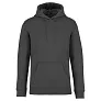 SURFER unisex hoodie, 350 g/m2 - Native Spirit