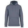 SURFER unisex hoodie, 350 g/m2 - Native Spirit