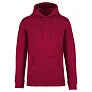 SURFER unisex hoodie, 350 g/m2 - Native Spirit