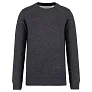RIDER unisex pulover - Native Spirit