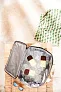  VINGA RPET Sortino city cooler - Vinga
