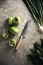  VINGA Hattasan Damascus Santoku nož - Vinga