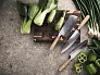  VINGA Hattasan Damascus Santoku nož - Vinga