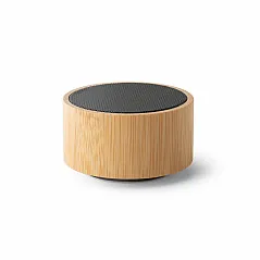 Portable speaker with microphone