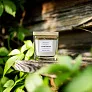 ALCAMO scented candle in glass