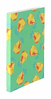 custom paper sleeve