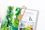 Niffy bookmark s povećalom