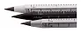 Ruloid inkless pen with ruler