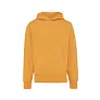  Iqoniq Yoho recycled cotton relaxed hoodie - iqoniq