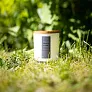 IMOLA scented candle in glass