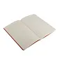  MOLESKINE Cahier Journal approx. A5