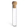 Glass infuser
