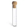  Glass infuser