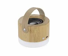 Wireless speaker