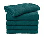  Rhine Guest Towel 30x50 cm - SG Accessories - TOWELS (Ex JASSZ Towels)