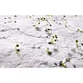 ASIDE A5 wildflower seed paper sheet