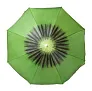 Chaptan beach umbrella