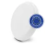 Frantzy Frisbee