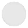 Frantzy Frisbee