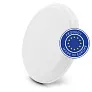 Frantzy Frisbee