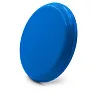 Frantzy Frisbee