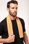  REFRESHING SPORTS TOWEL - Proact
