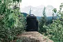  Swiss Peak AWARE™ XXL weekend travel backpack - Swiss Peak