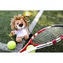 Manethew Plush lion