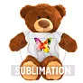 Bernie Brown Plush teddy bear