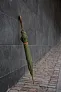  VINGA Bosler AWARE™ recycled pet 23" umbrella - Vinga