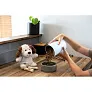 Sneeffy Plush dog