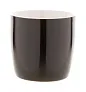Hemera šalica