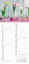  "CVJETNI PLANER" 13 list., dim: 22x55cm,  PVC vrećica, P/50, color kalendar
