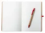 Ginkgo notebook
