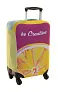 BagSave L custom luggage cover