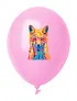 CreaBalloon Pastel baloni u pastelnim bojama