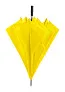 Maximus umbrella
