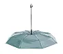 Cirros umbrella