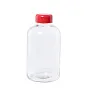 Flaber glass sport bottle