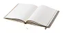 Bodley notes