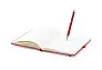 Robin notebook